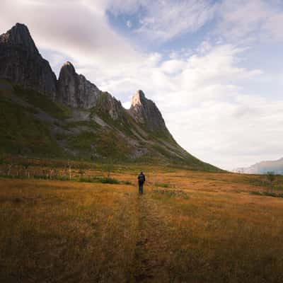 Valley (Past Hesten), Norway