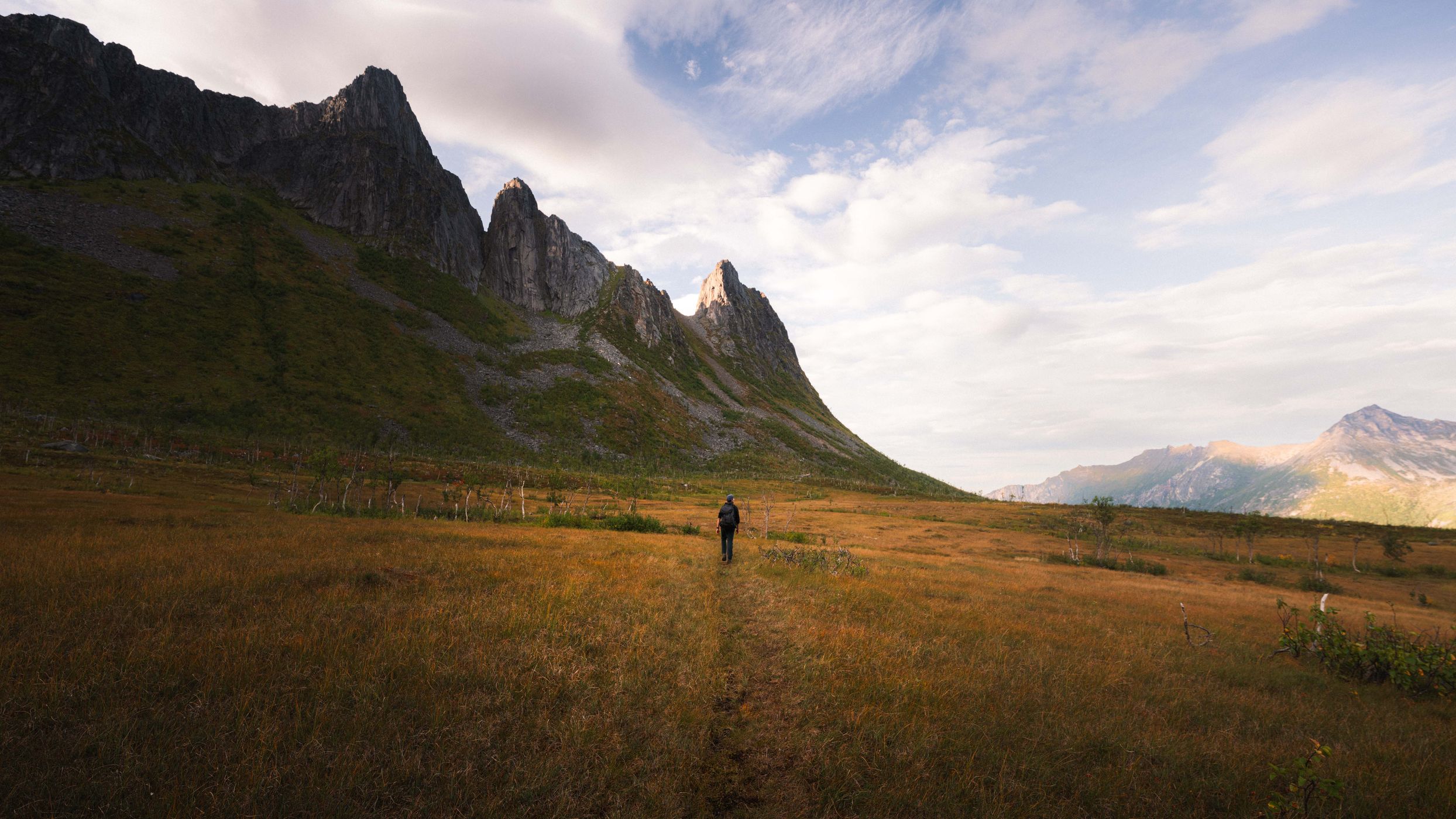 Valley (Past Hesten), Norway