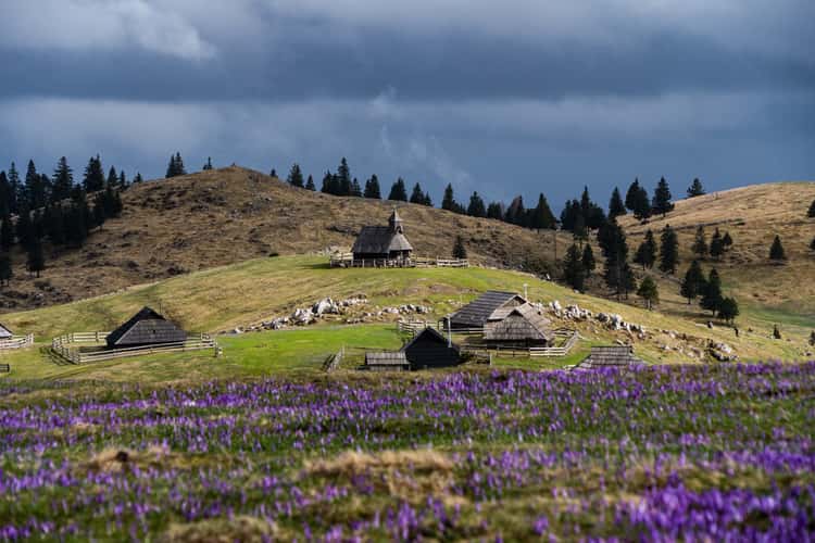Velika Planina