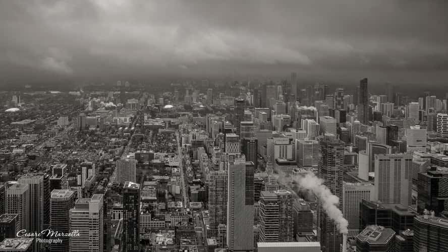 View from the CN Tower
