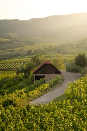 Wachau - Austria