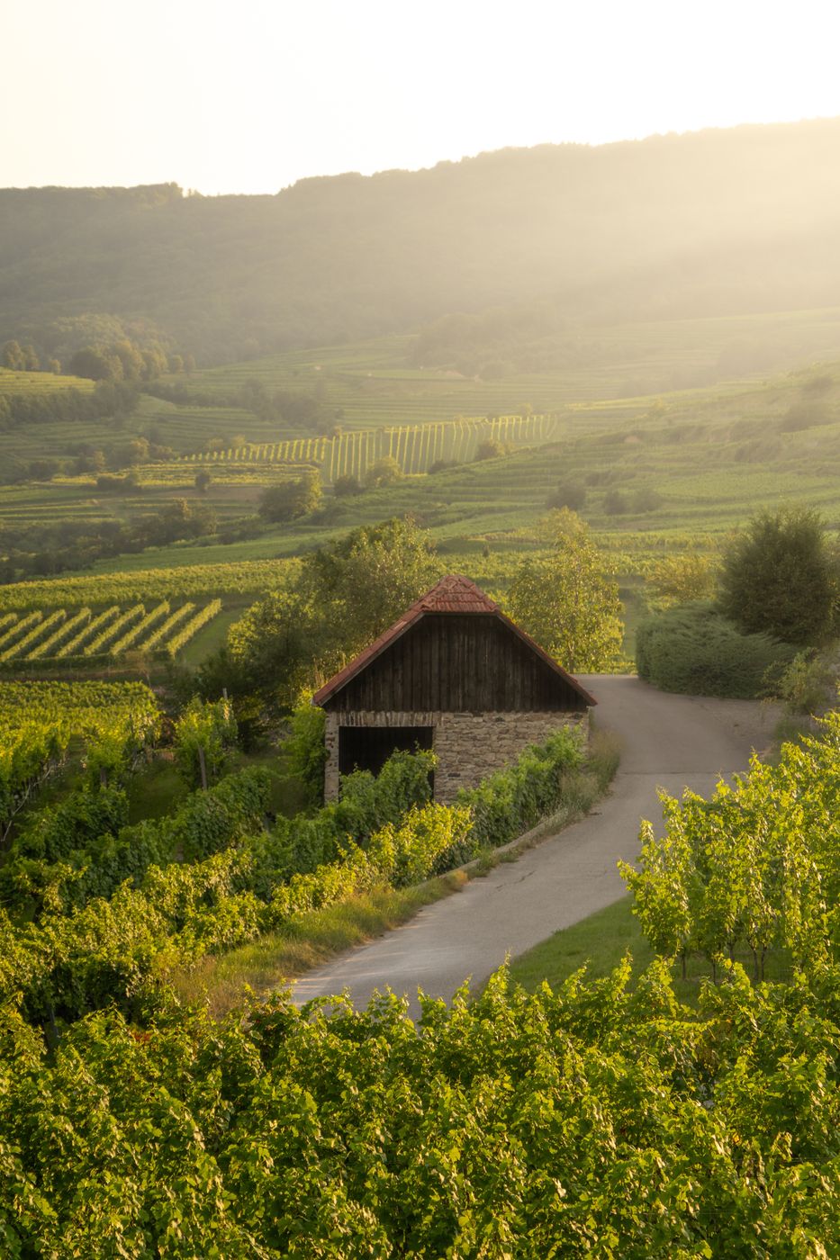 Wachau - Austria, Austria