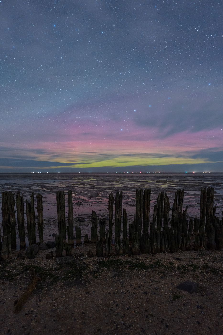 Wadden Moddergat, Netherlands