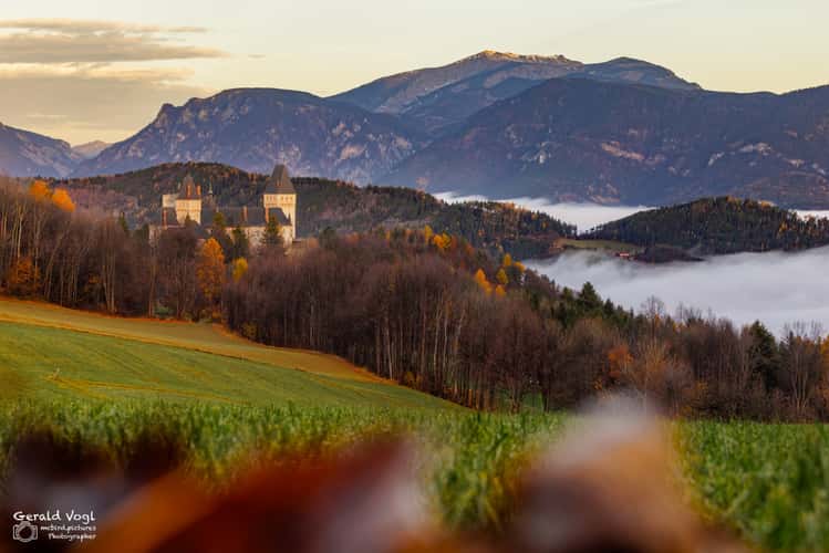 Wartenstein Castle View