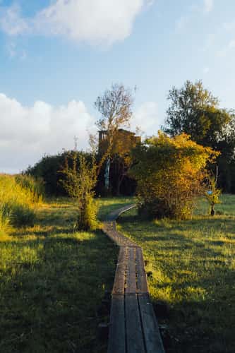 Watchtower in Gundsømagle Sø, Denmark