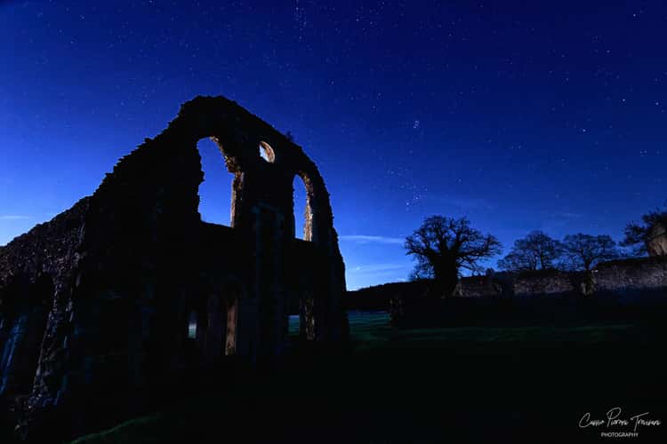 Waverley Abbey