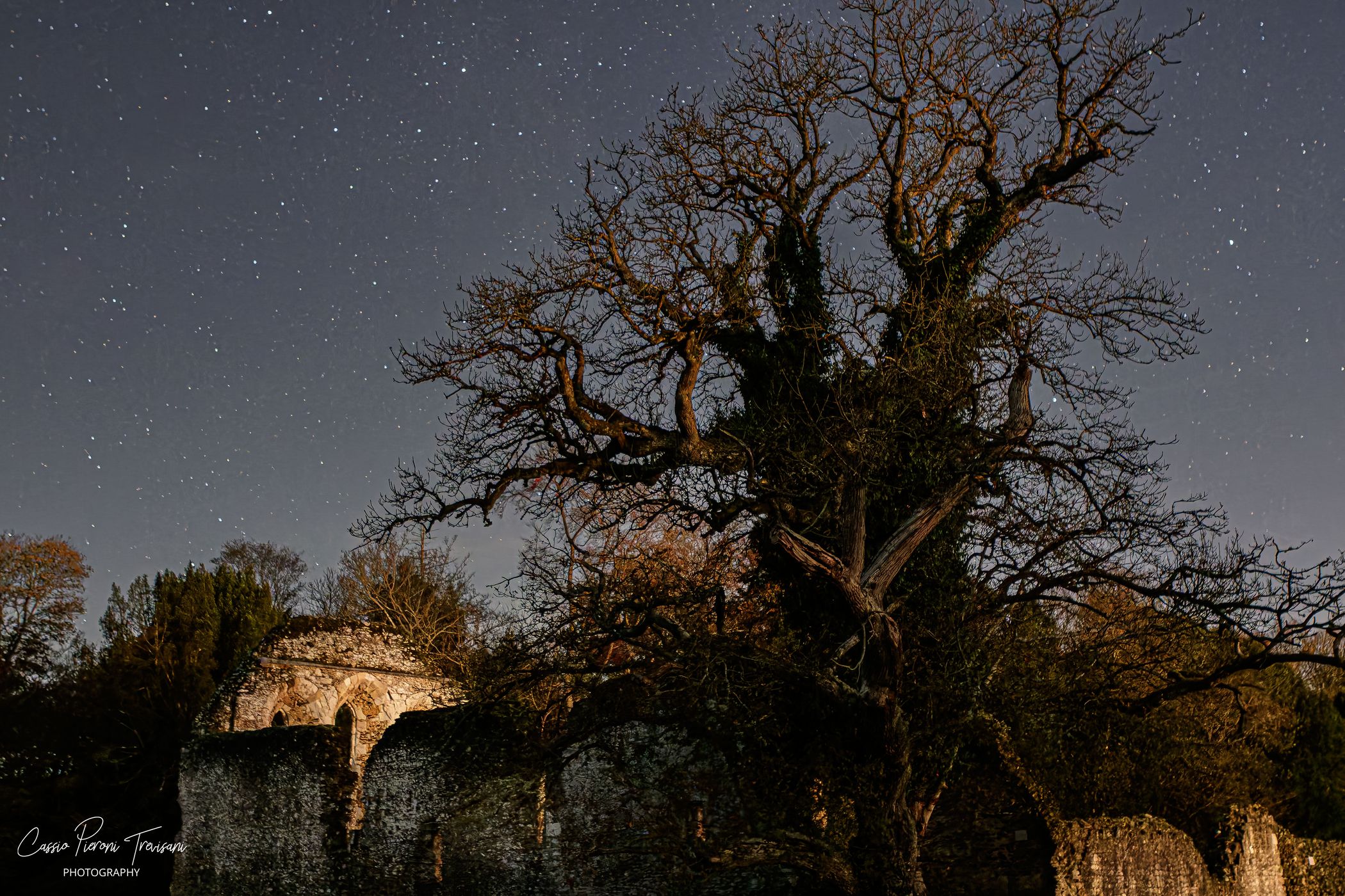 Waverley Abbey, United Kingdom
