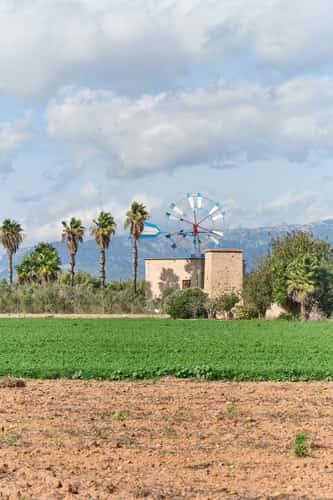 Windmills of Mallorca