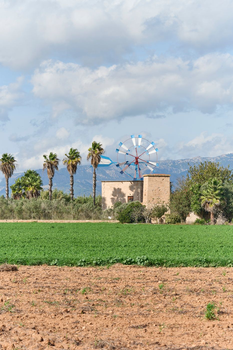 Windmills of Mallorca, Spain