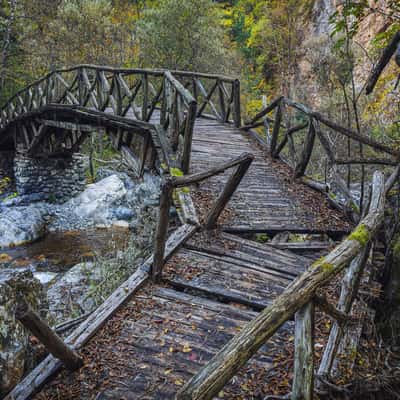 Wooden bridge in the Enipeas canyon, Greece