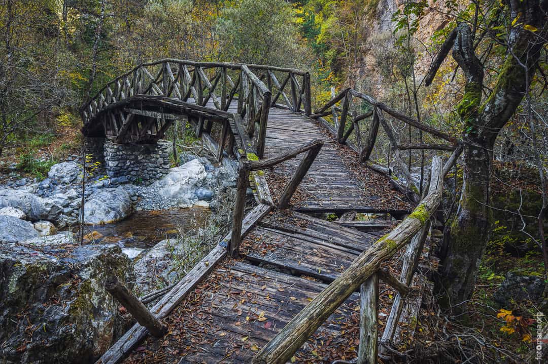 Wooden bridge in the Enipeas canyon, Greece