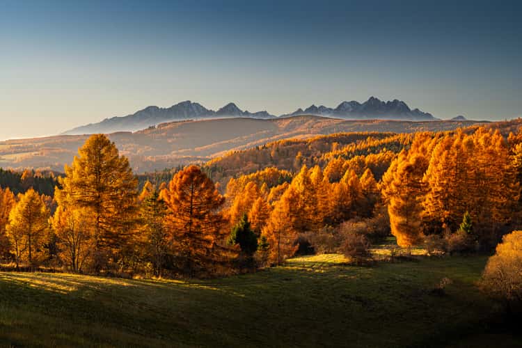Závada view - High Tatras