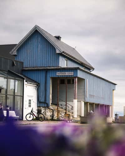 Andenes Kino