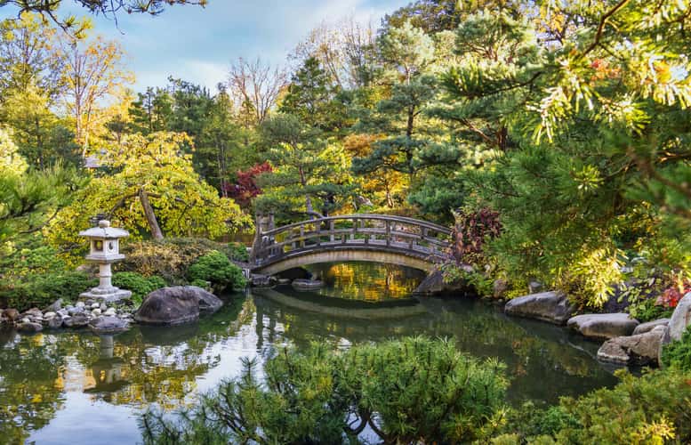 Anderson Japanese Garden