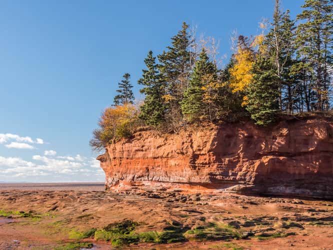 Burntcoat Head