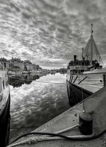 Buy the boats at Nybroviken
