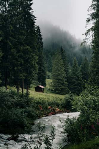 Cabin near a river