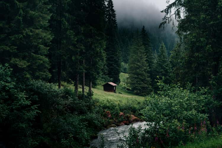 Cabin near a river