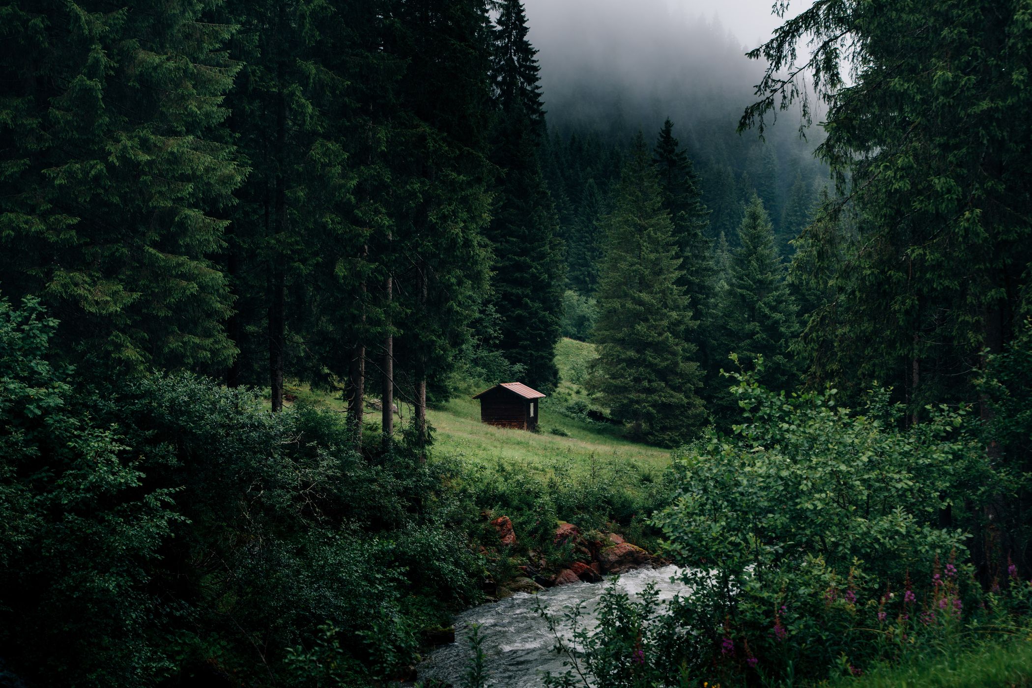 Cabin near a river, Austria