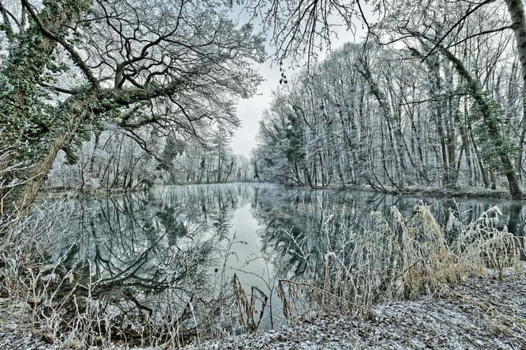Castle pond Pottendorf
