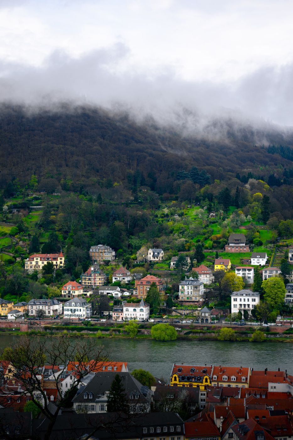 Castle Viewpoint, Heidelberg, Germany