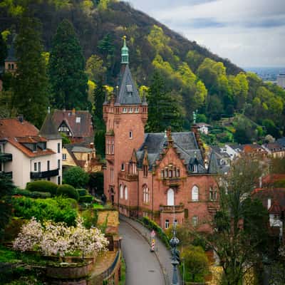 Castle Viewpoint, Heidelberg, Germany