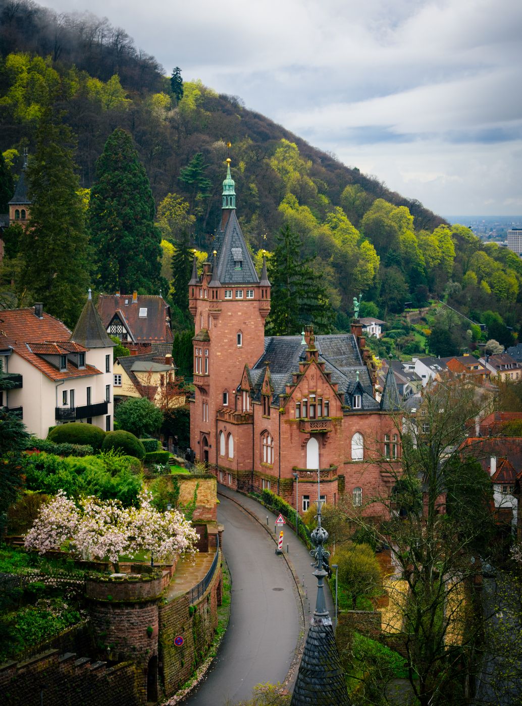 Castle Viewpoint, Heidelberg, Germany