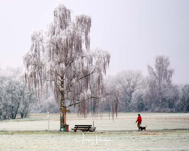 Das Flurkreuz 'Obere Beune'