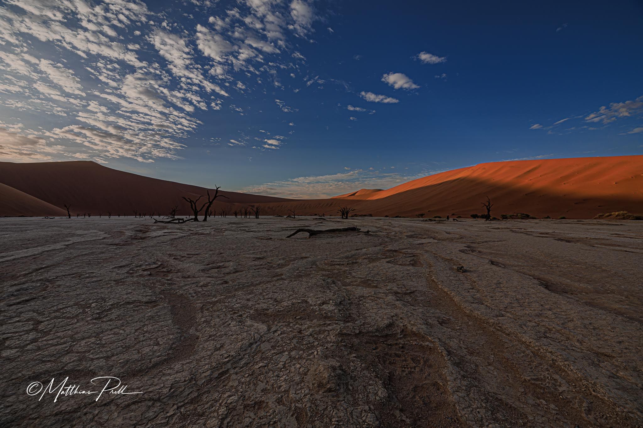 Deadvlei, Sossusvlei, Namibia