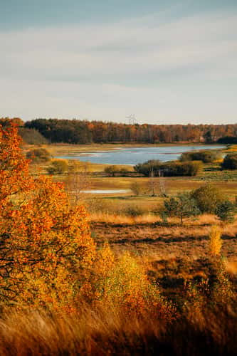 Dikkenberg