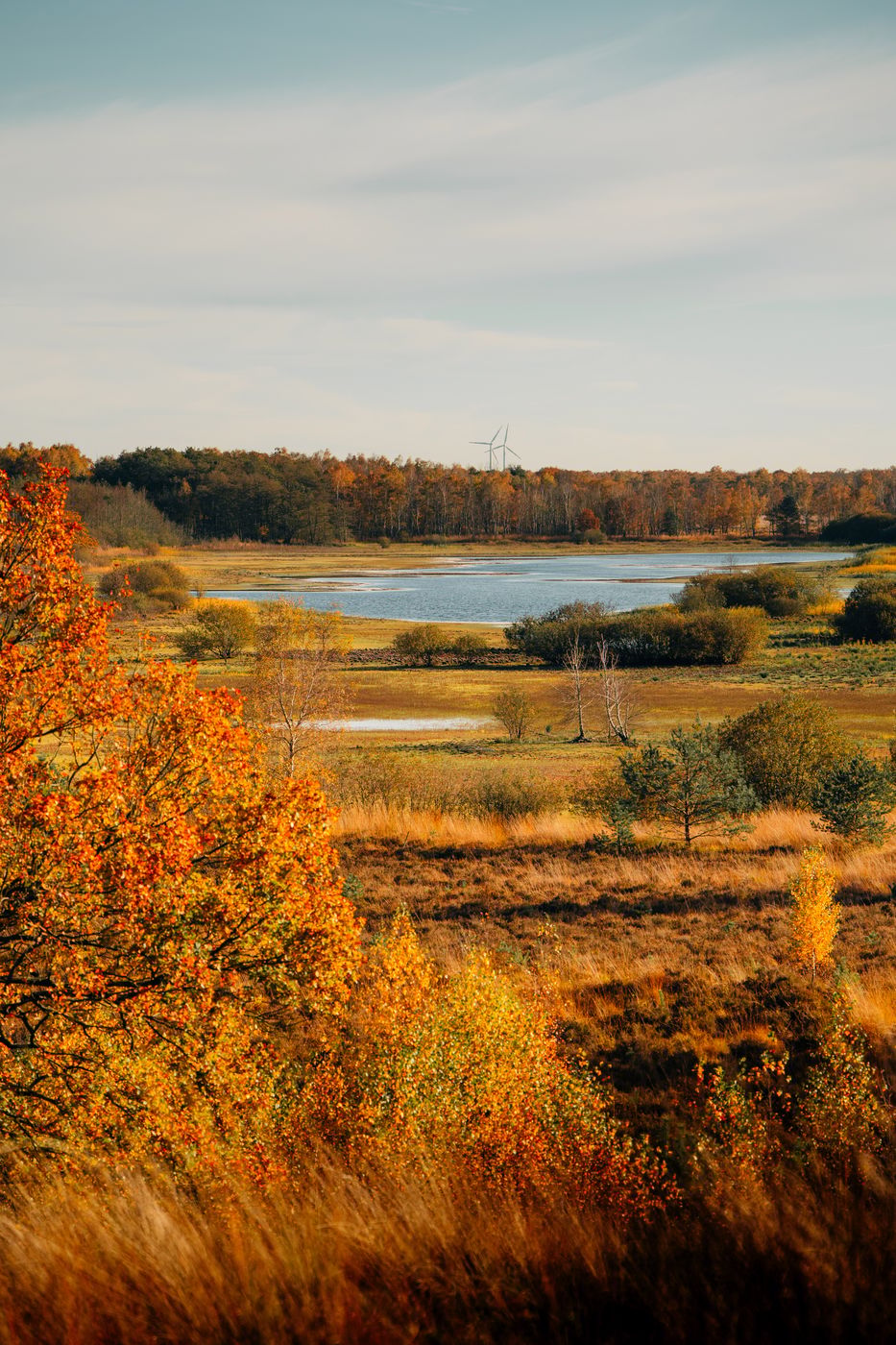 Dikkenberg, Netherlands