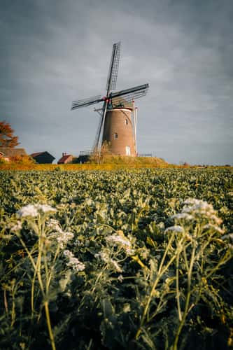 Eendracht Maakt Macht