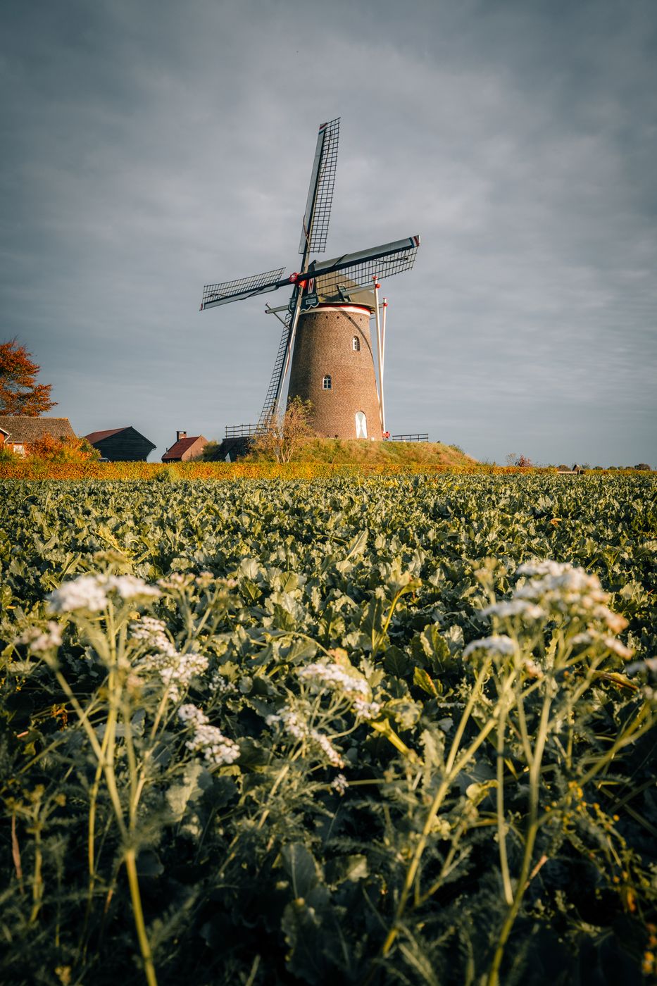Eendracht Maakt Macht, Netherlands
