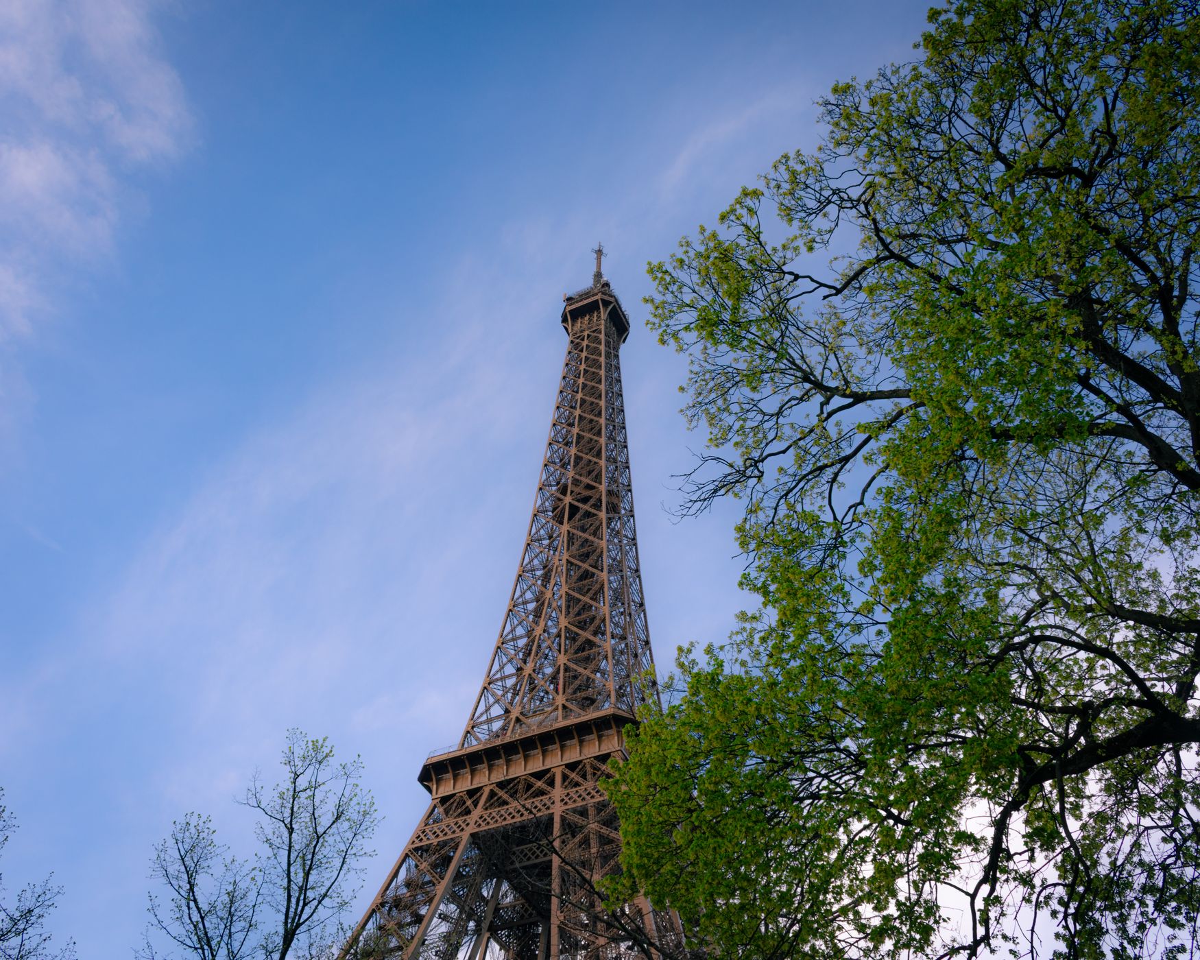 Eiffel Tower from Rue de l'Universite, Paris, France