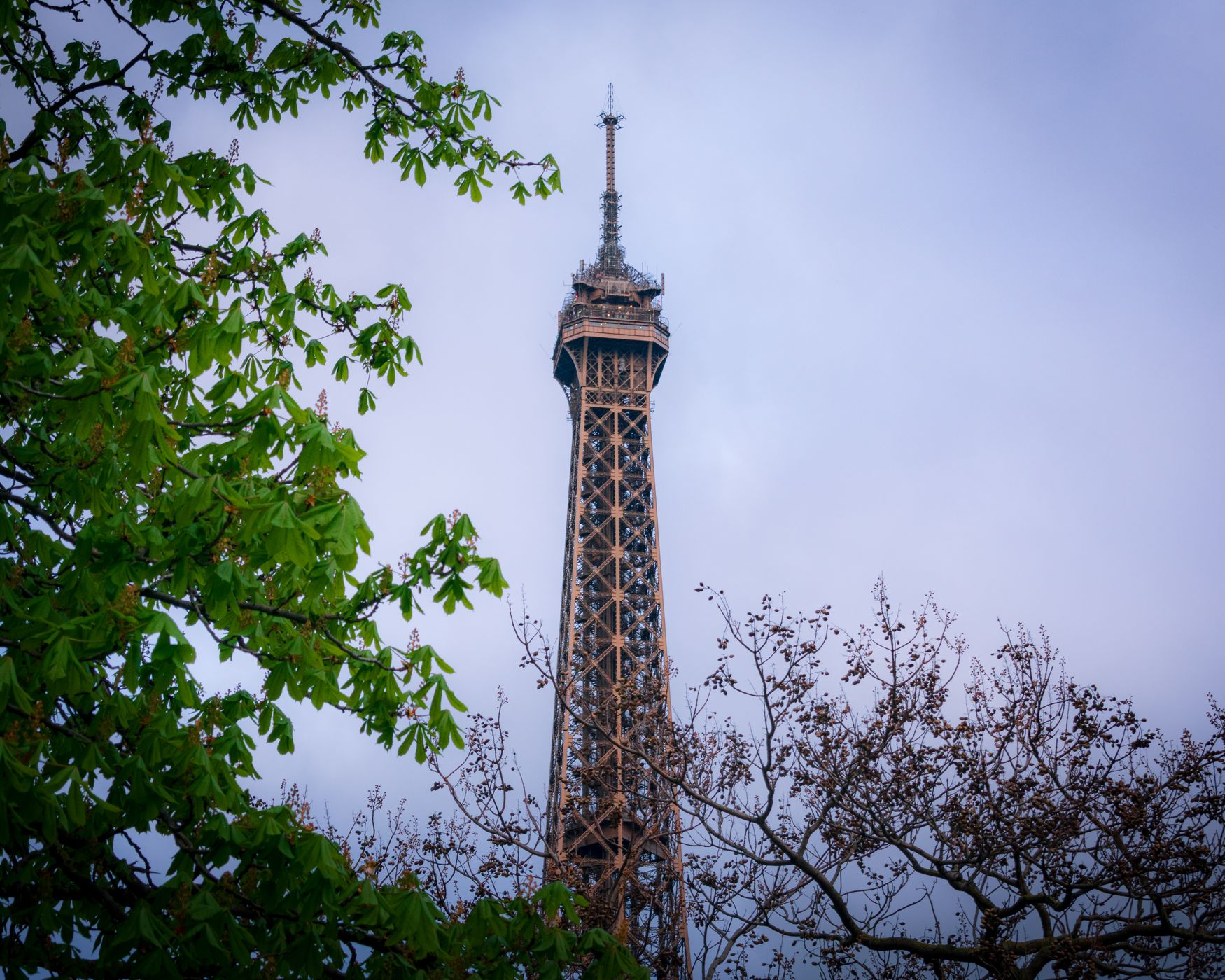 Eiffel Tower from Trocadero, Paris, France