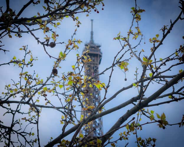 Eiffel Tower from Trocadero, Paris