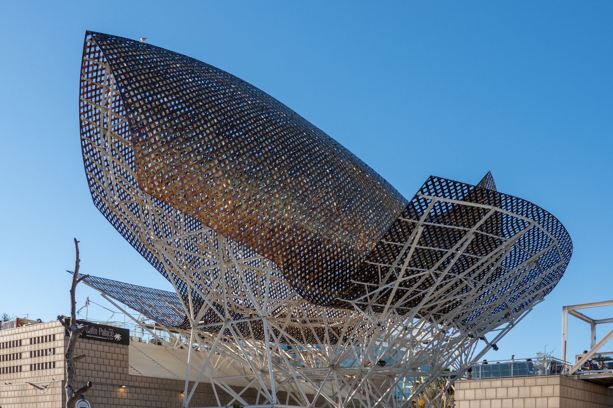 El Peix d'Or Frank Gehry, Spain