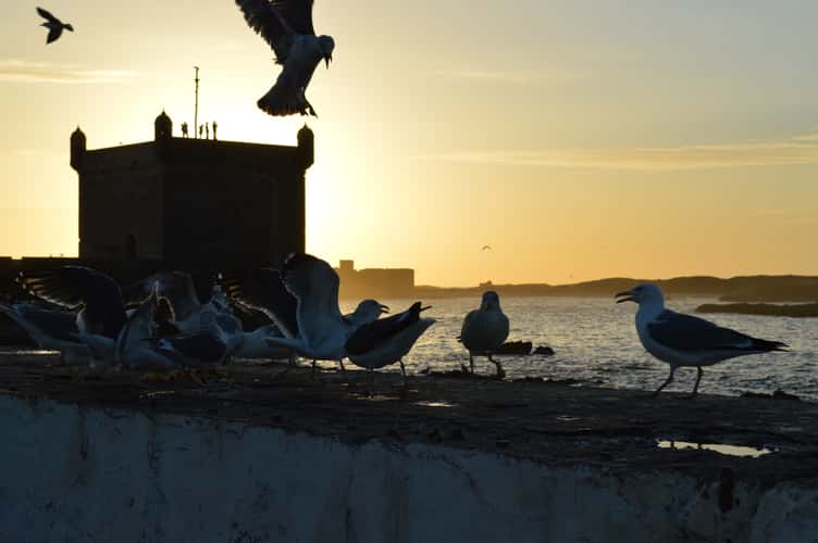 Essaouira
