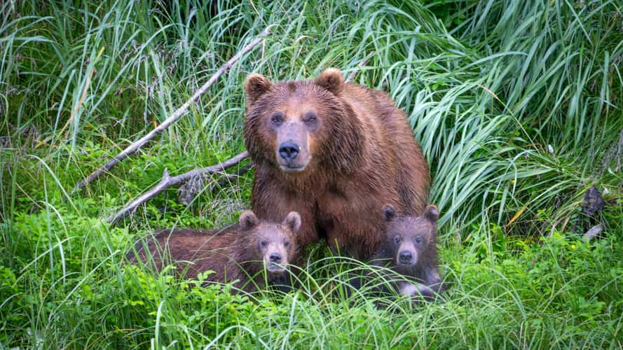 Family portrait