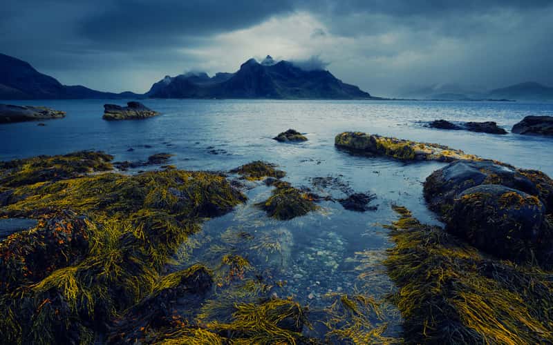 Fjord with Mountains, Lofoten
