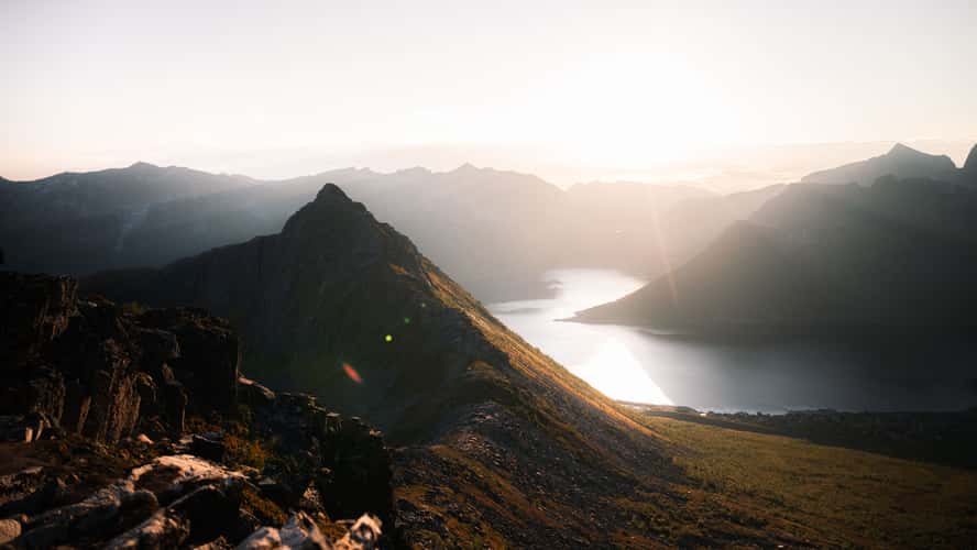 Hesten Saddle