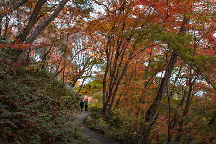 Hikime Falls