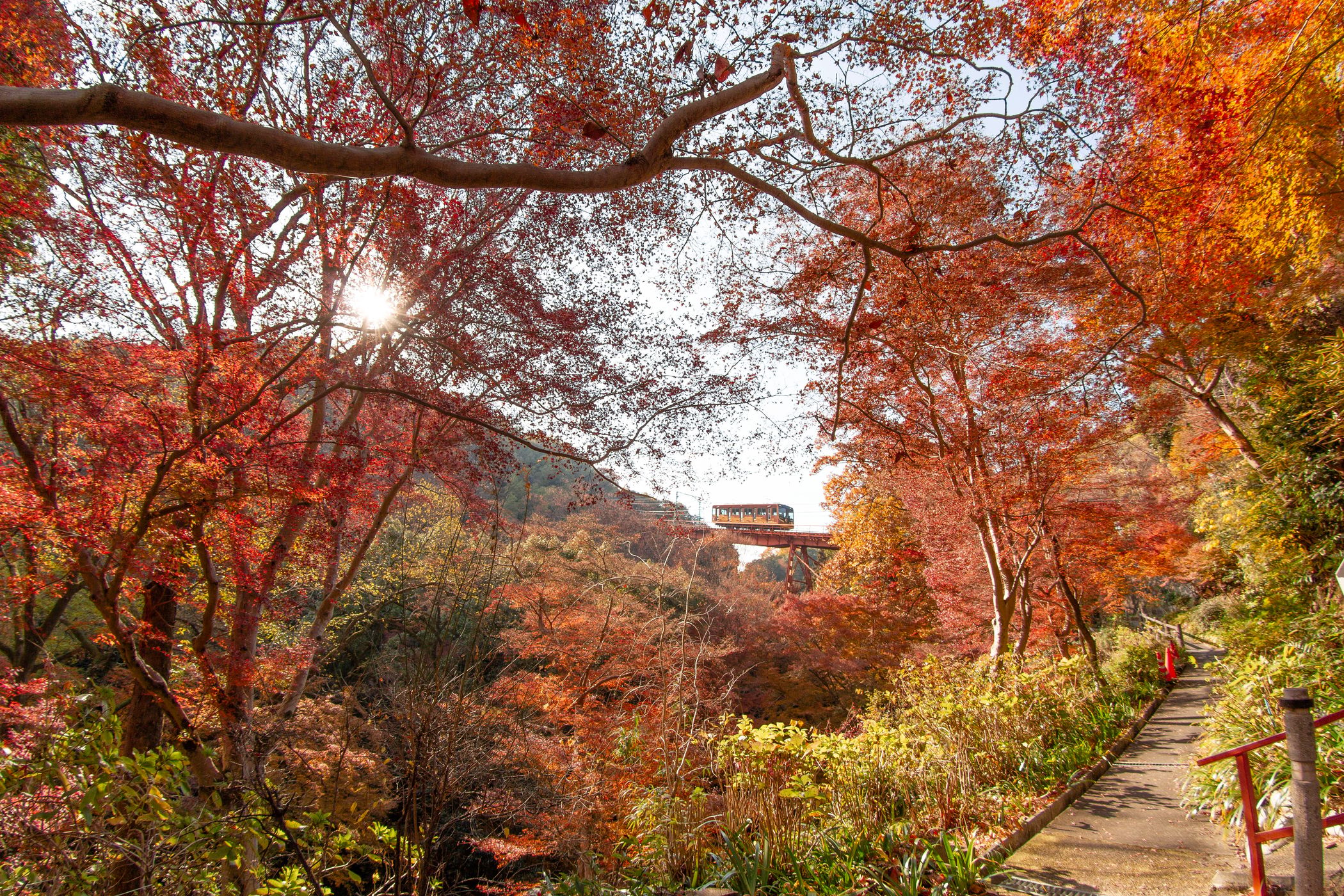Hikime Falls, Japan