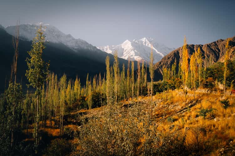 Hunza Valley View