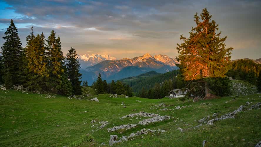 Kohler Alm