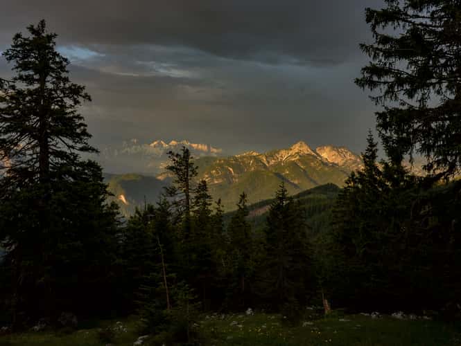 Kohler Alm