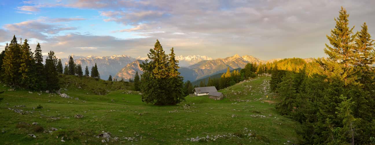 Kohler Alm