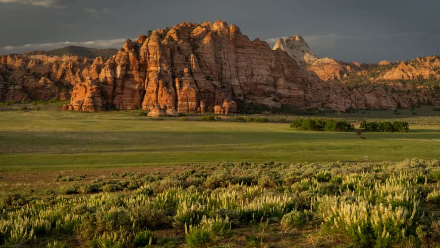 Kolob Terrace