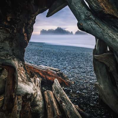 La Push, Rialto Beach, USA