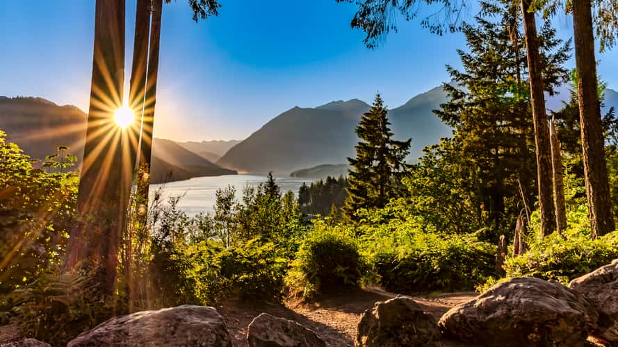 Lake Cushman Lookout